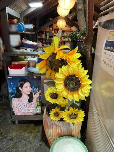 유쉐프의도시어부 이미지