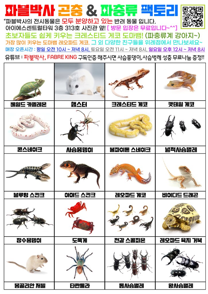 파블박사 이미지