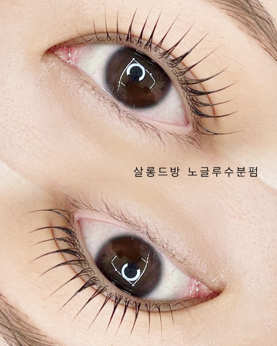 살롱드방 이미지