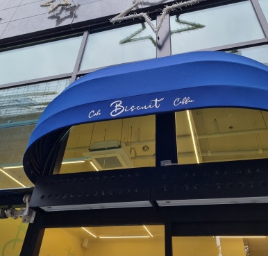 Biscuit 비스퀴 이미지