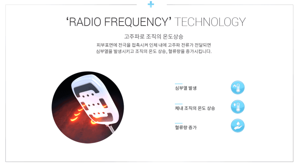 노블글로벌 이미지