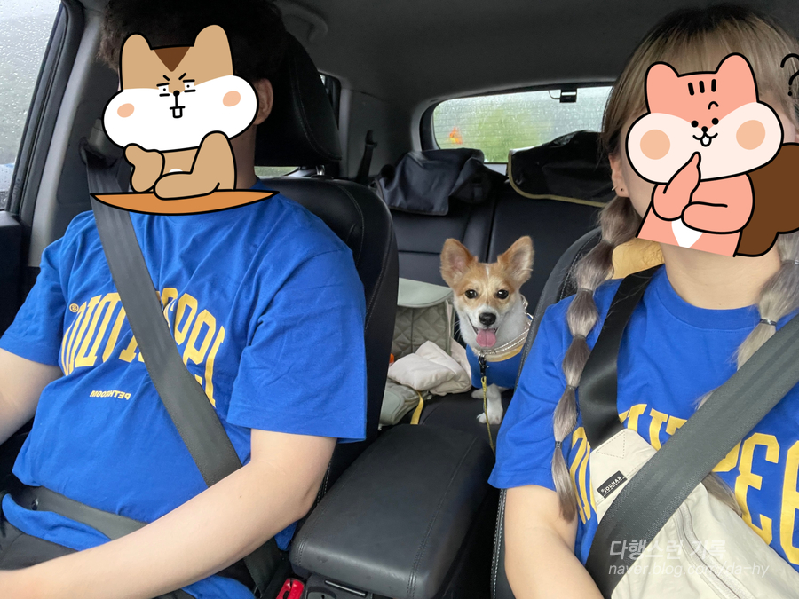 헤이;칠러 이미지
