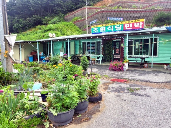 초원보리밥 이미지