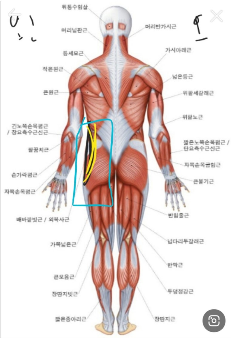 서울바른마취통증의학과 이미지