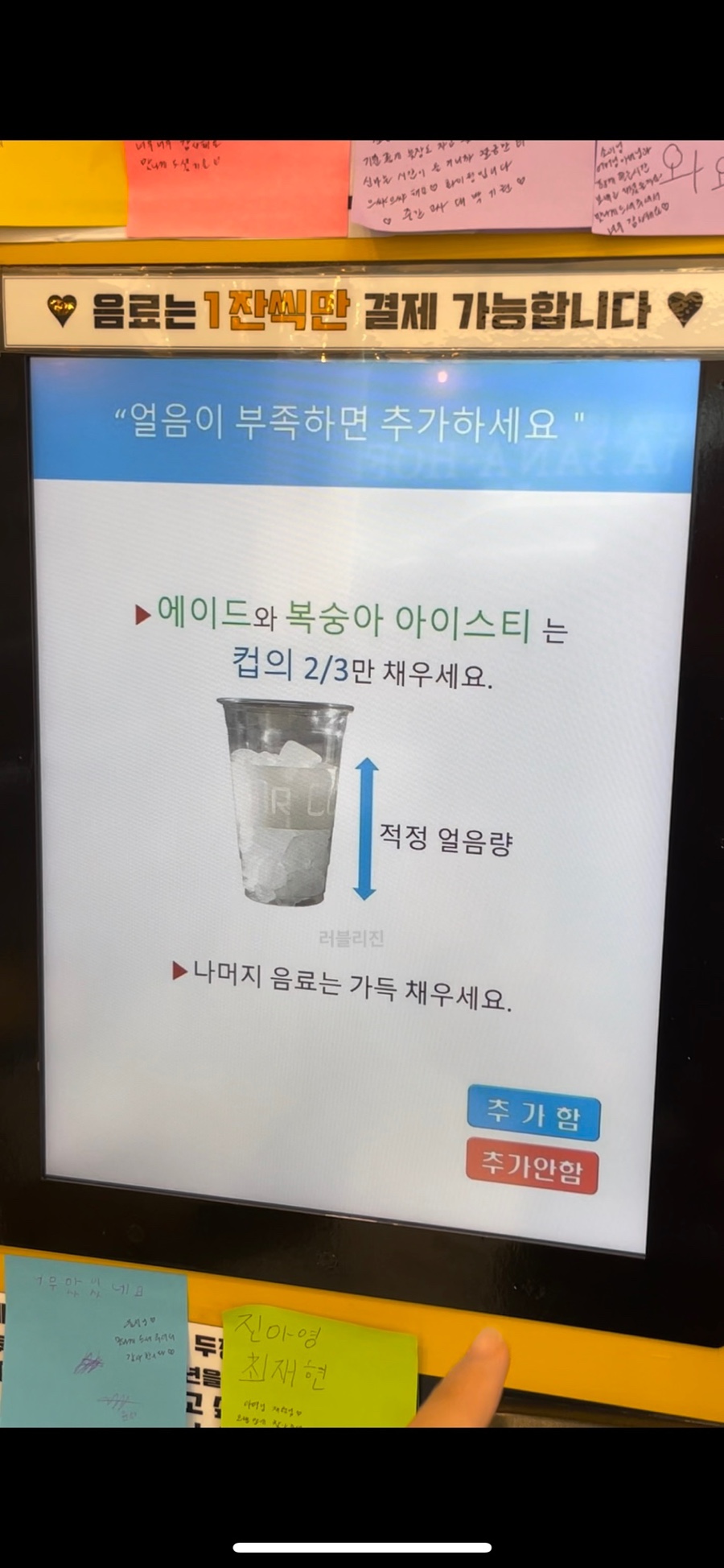 브라운빈두정 이미지