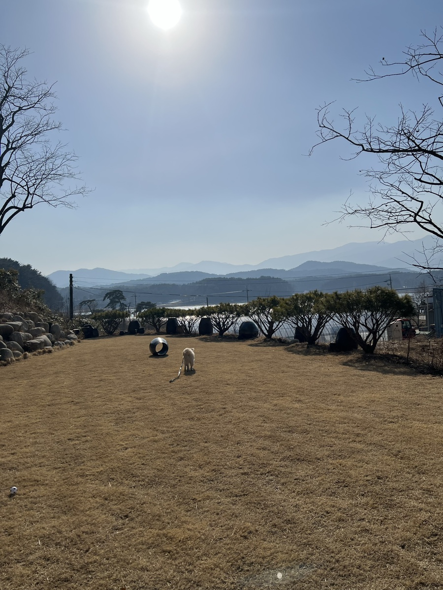 굿모닝휴게소 이미지