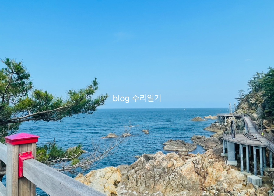 초곡용굴촛대바위카페 이미지