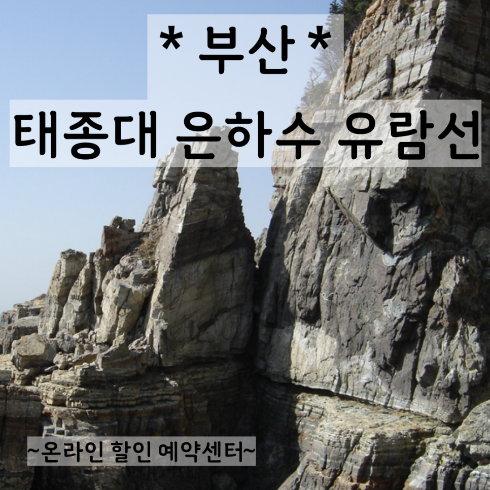 부산갈메기 이미지