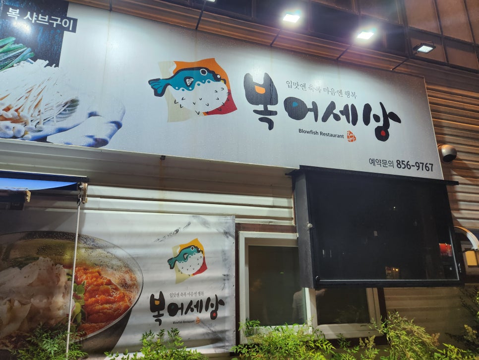 복어세상 이미지