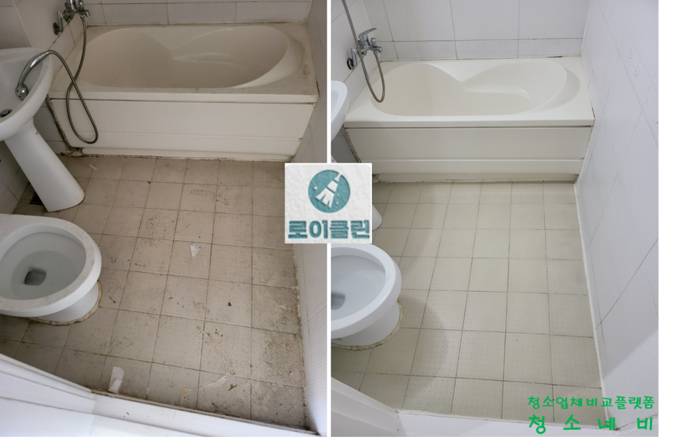 로이클린 이미지