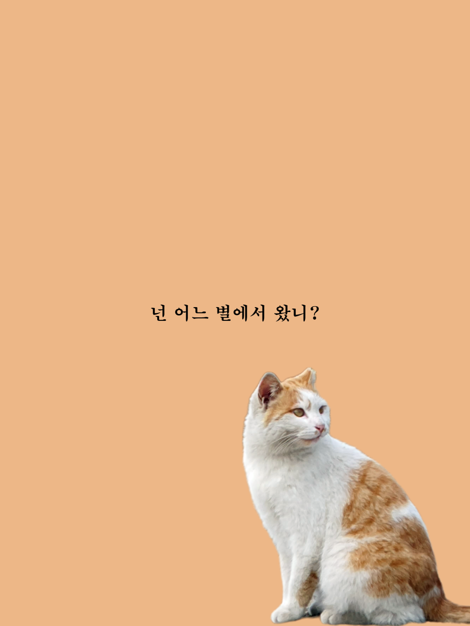 비에프푸드 이미지