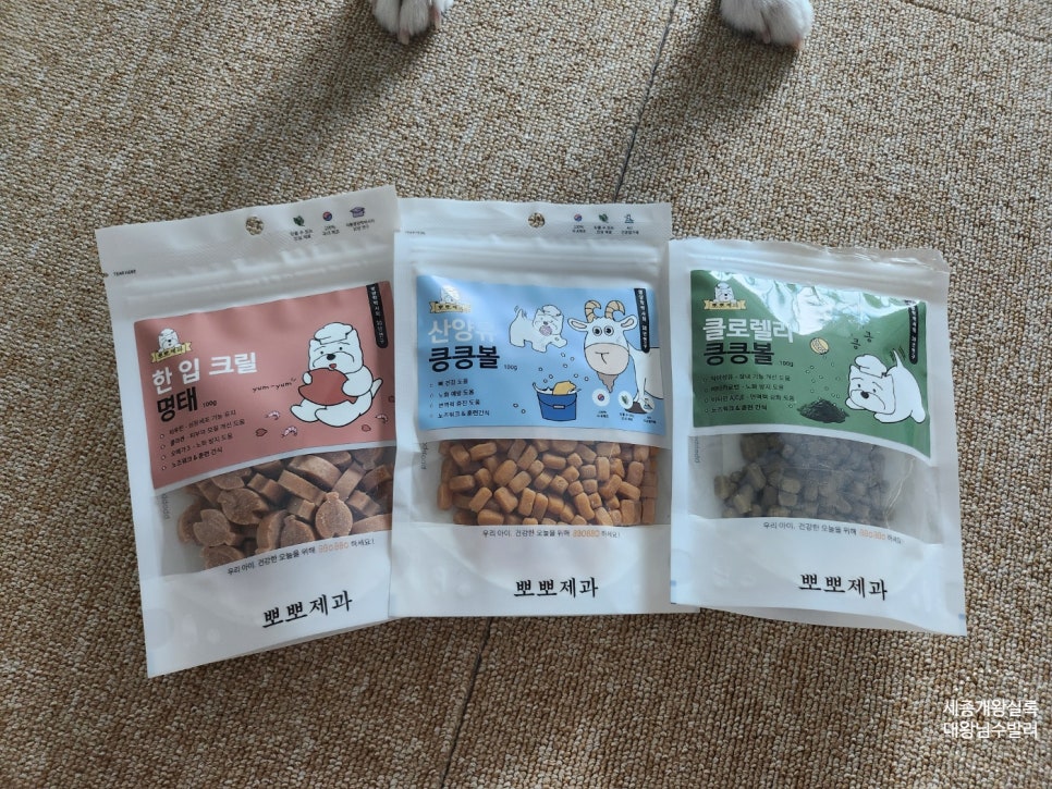 킁킁제과 이미지