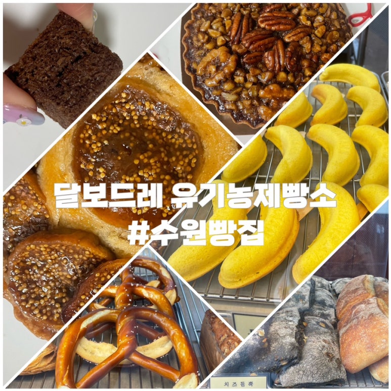 달보드레베이커리 이미지