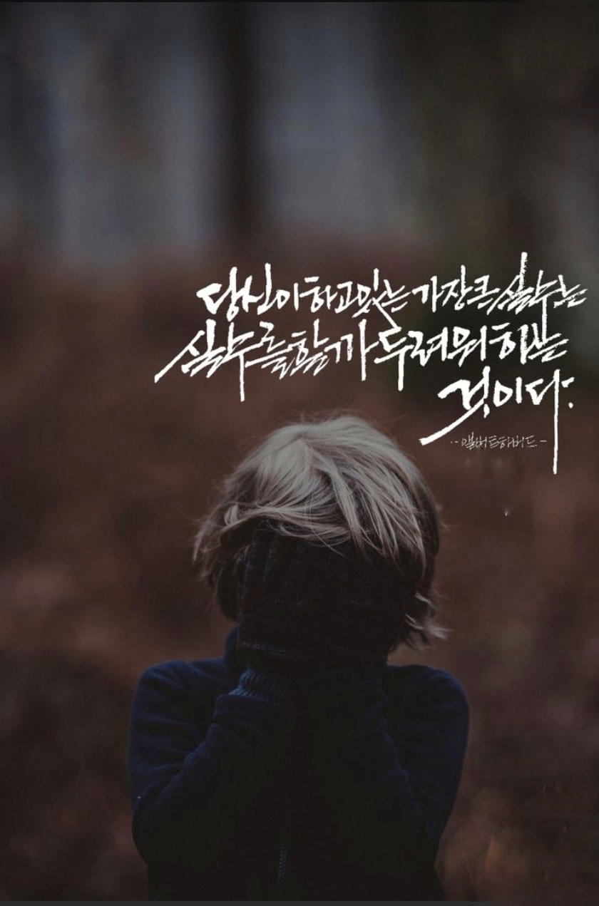 주식회사 흰소 이미지