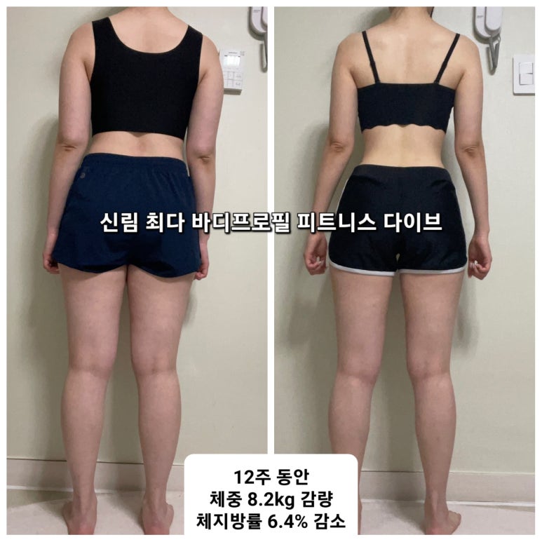 피트니스다이브 이미지