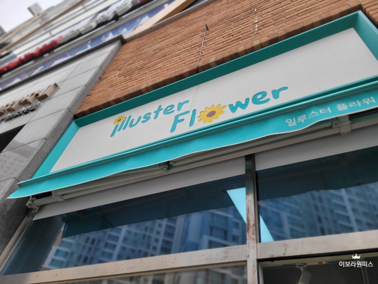 일루스터플라워 이미지