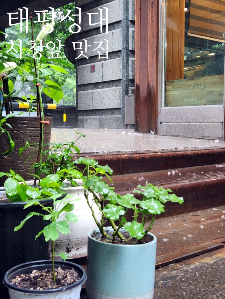(주)태평성대 이미지