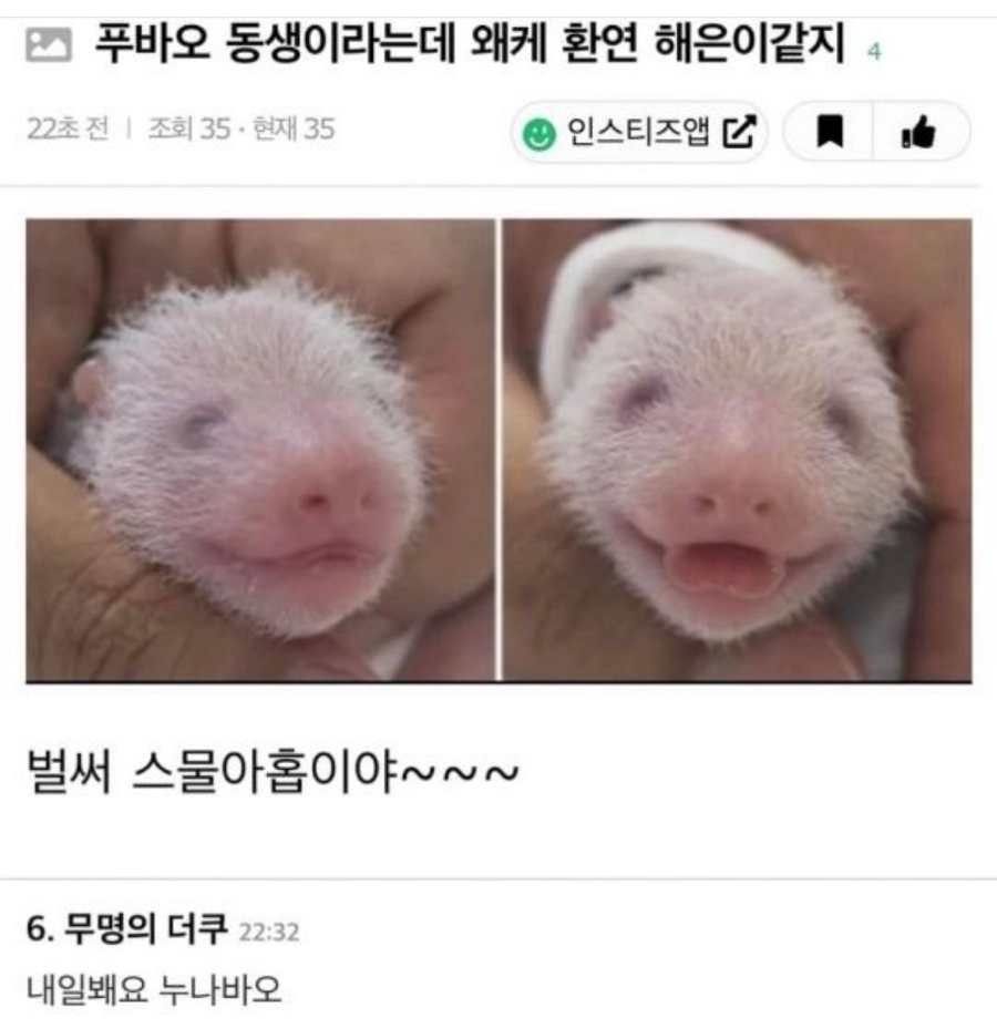 하이바오 이미지