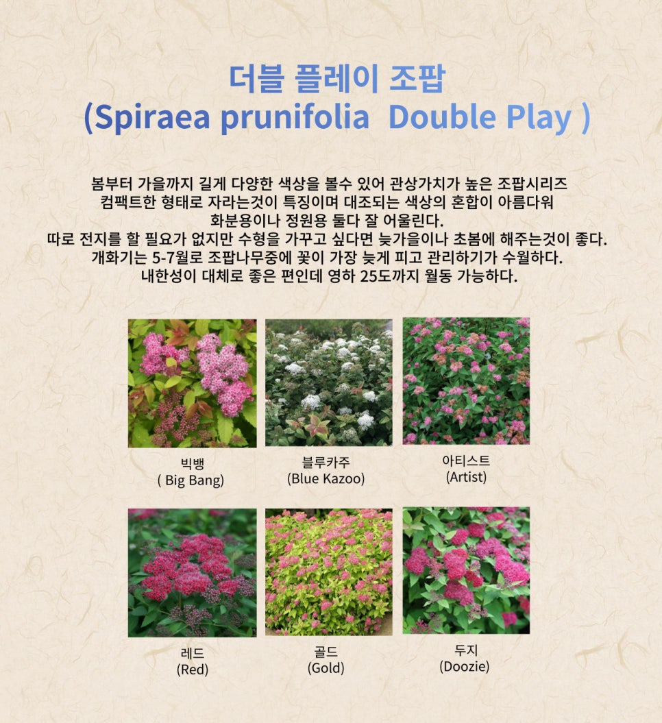아디스트 이미지