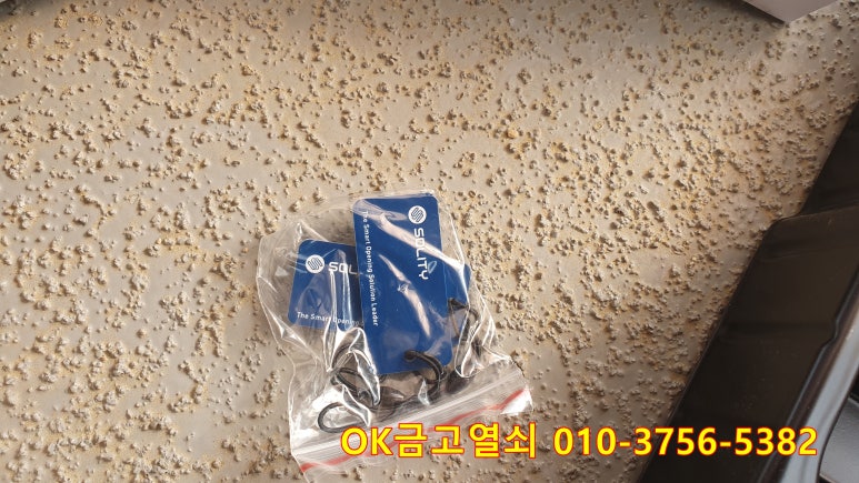 여주열쇠 이미지