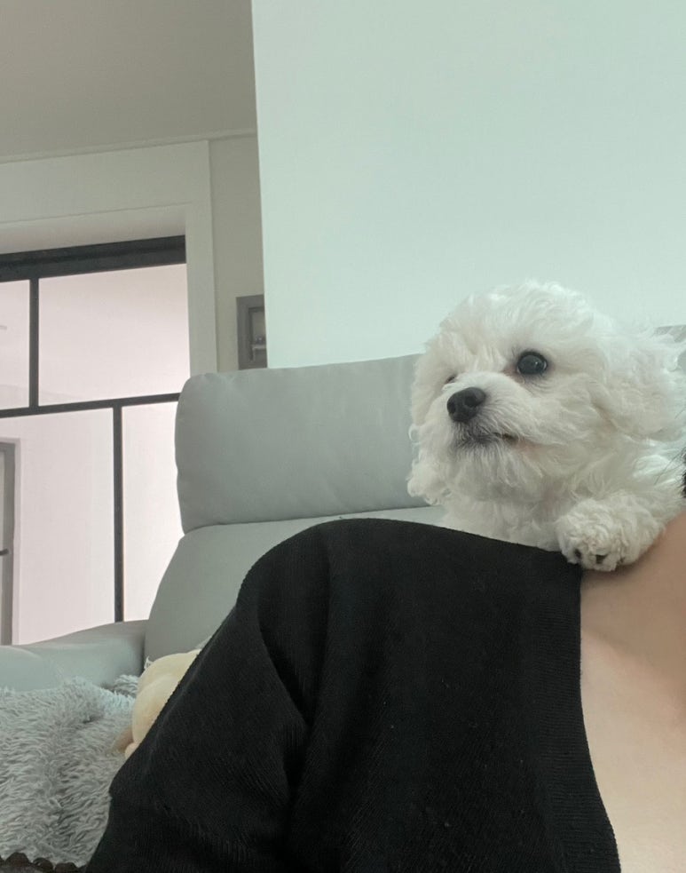 이박하 이미지