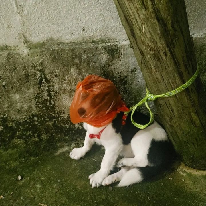 부산비닐 이미지