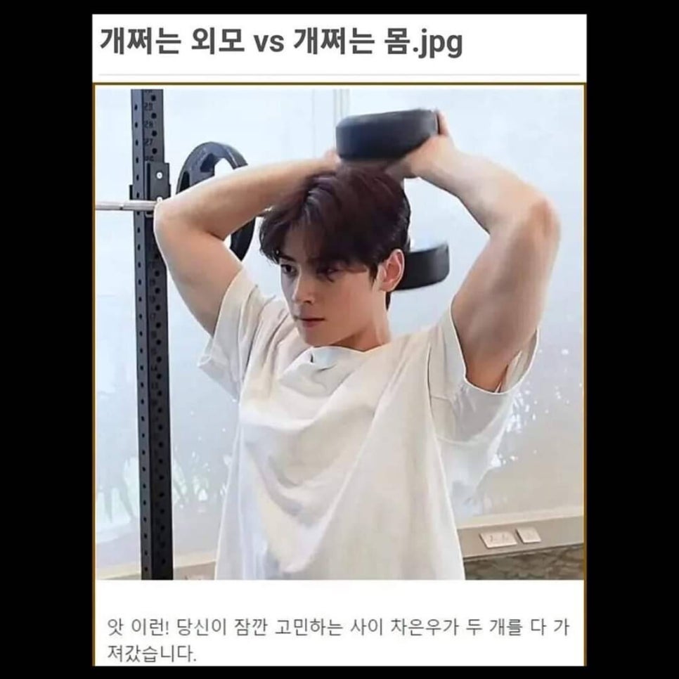 돼지대학교 이미지