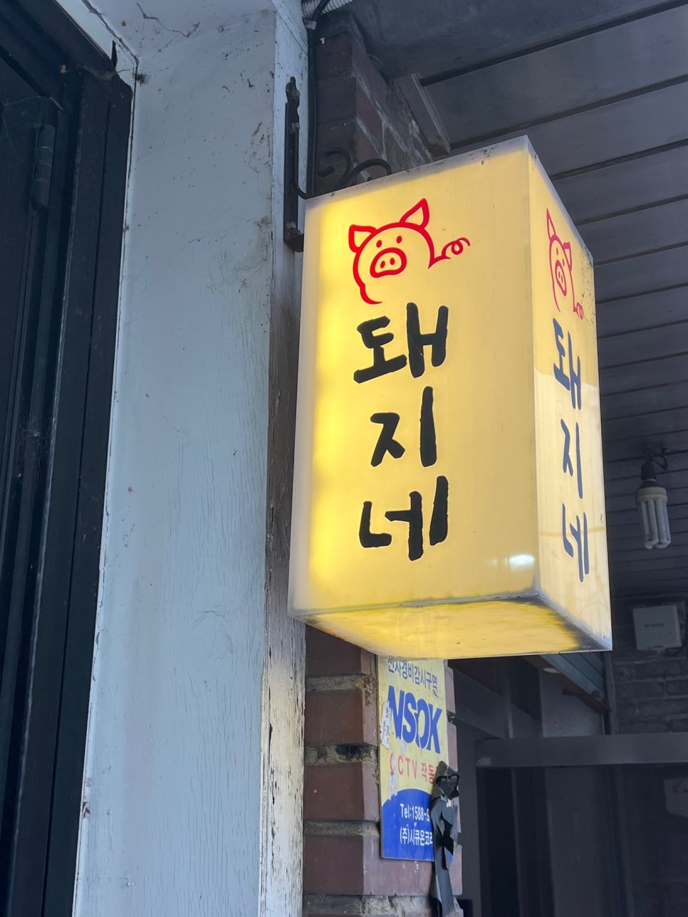 돼지네 사진 8