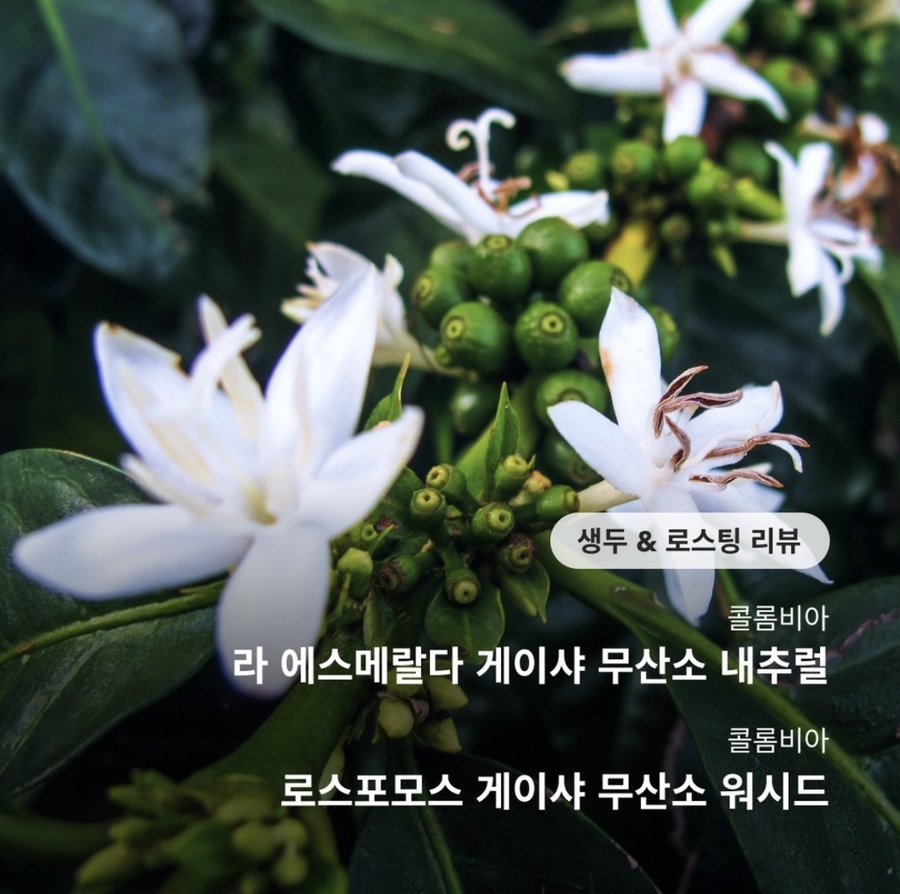 (주)커피플랜트 이미지