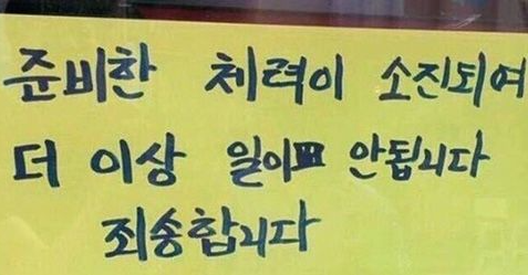 베이시스 옵(basis of) 이미지