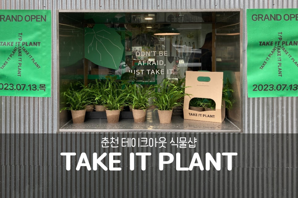테이크잇플랜트 이미지