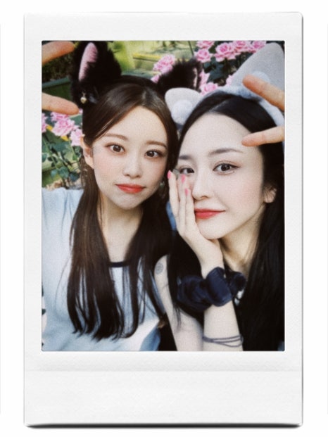 하이바오 이미지
