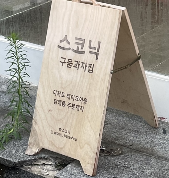 스코닉 이미지