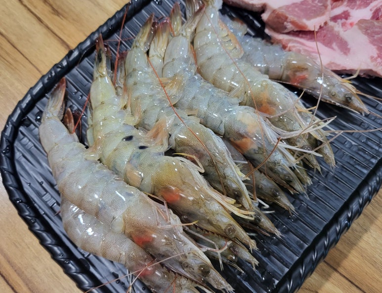 계양민물고기 이미지