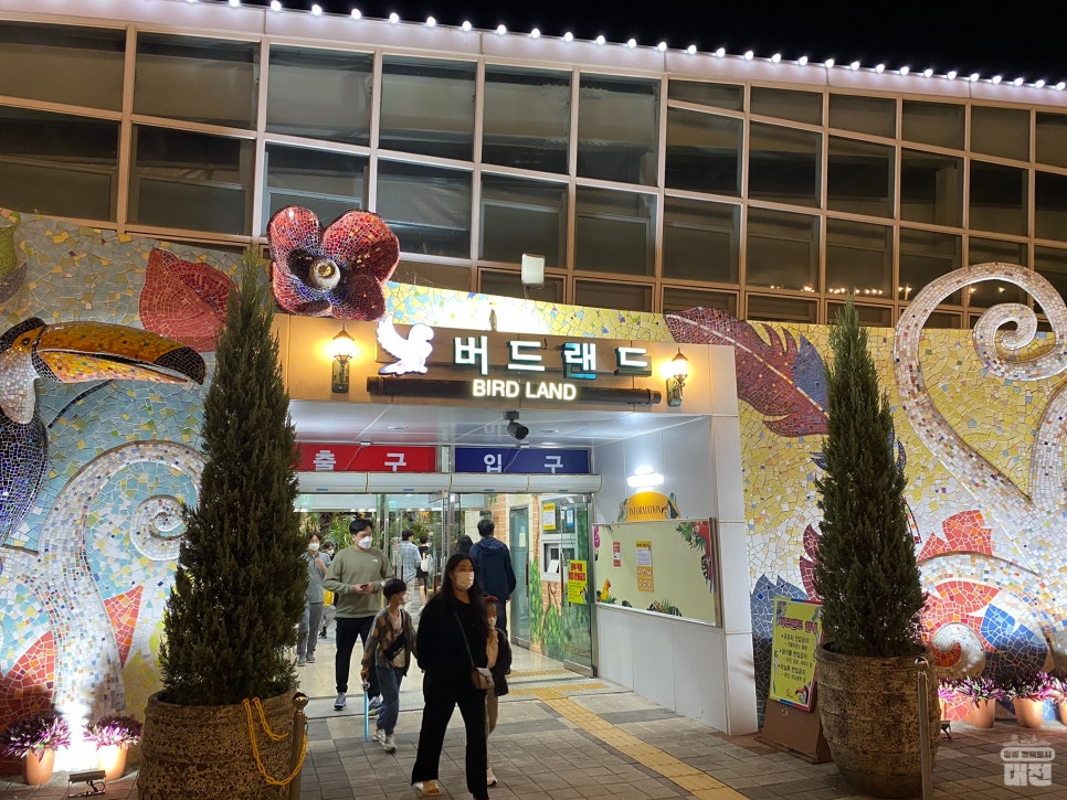 힐링나이트 이미지