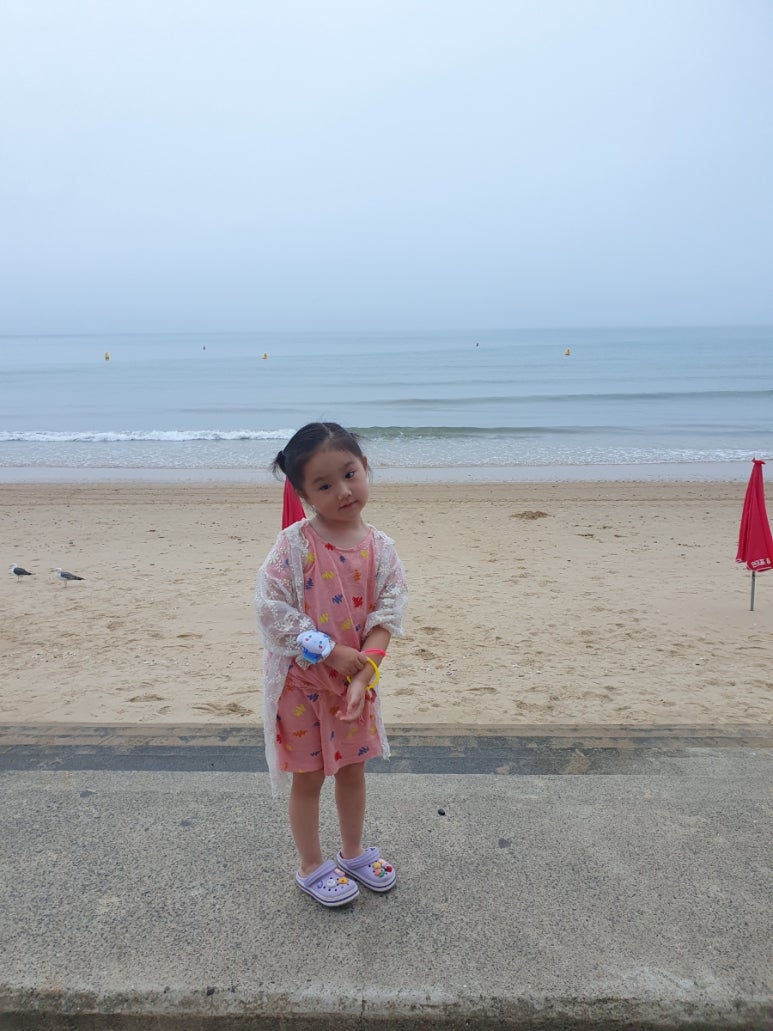 만리포뚱돼지 이미지