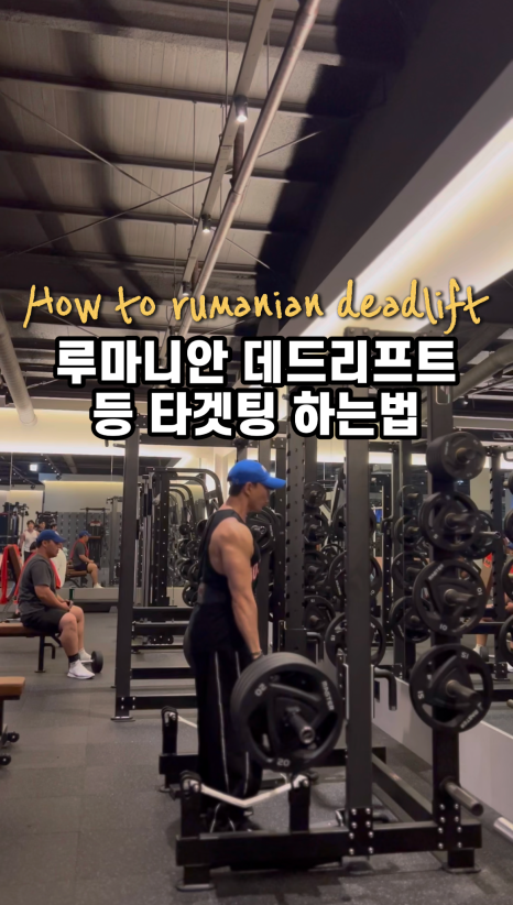 에이치피티 이미지