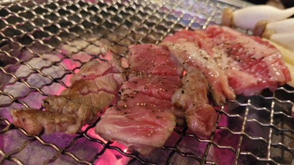 소우데스 이미지