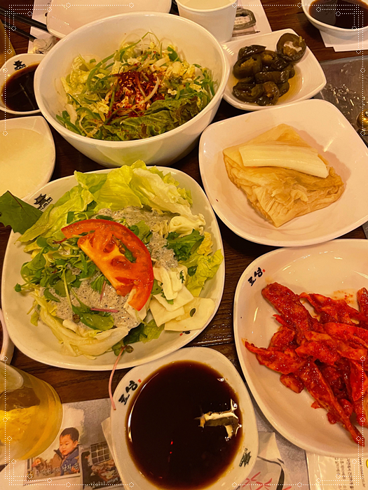 토성오리 이미지