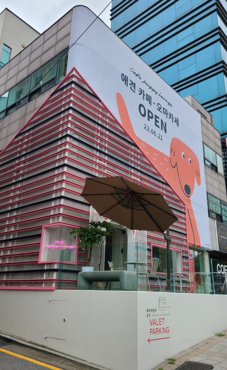 퍼피라운지 이미지