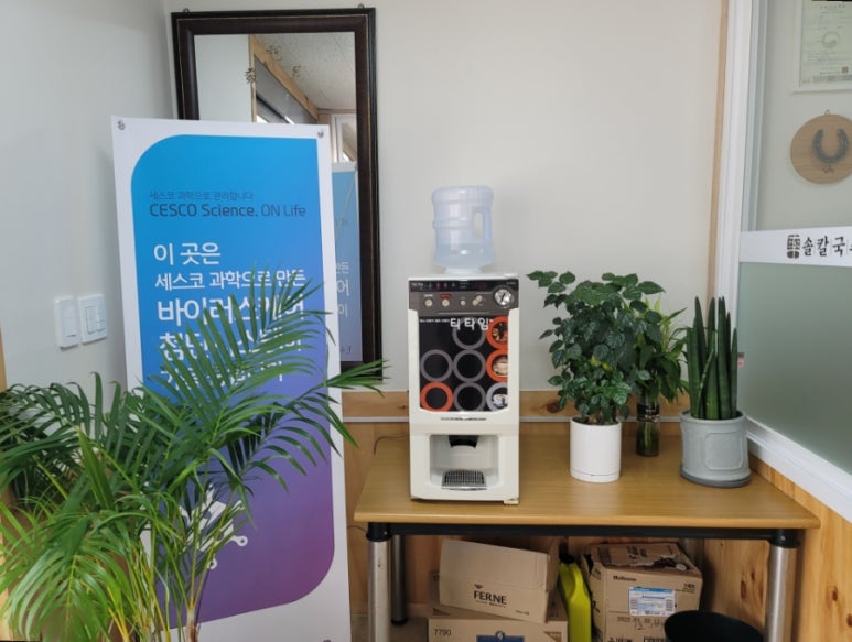 솔칼국수 이미지