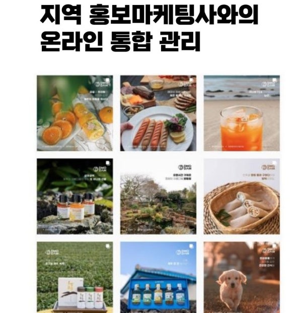 카리타스씽킹 이미지