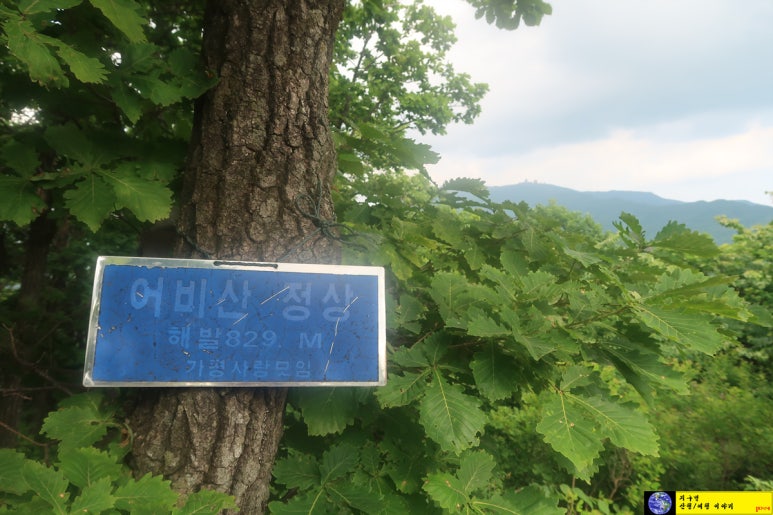 어비산 정상(829m) 이미지