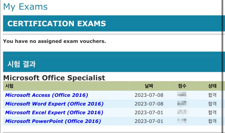 엑세스엑셀 이미지