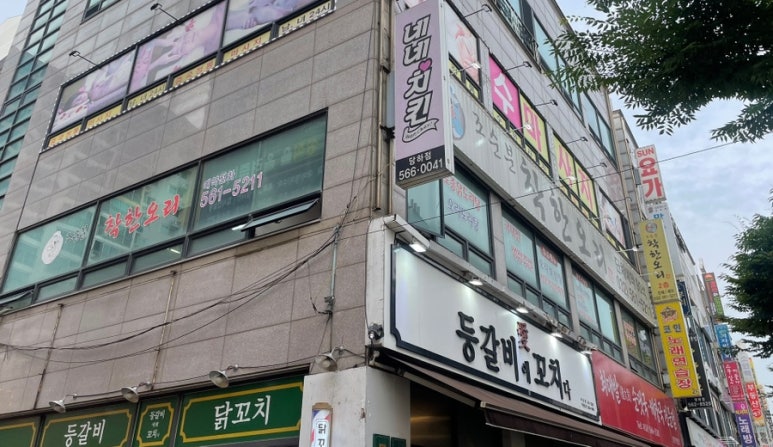 조순분착한오리 이미지