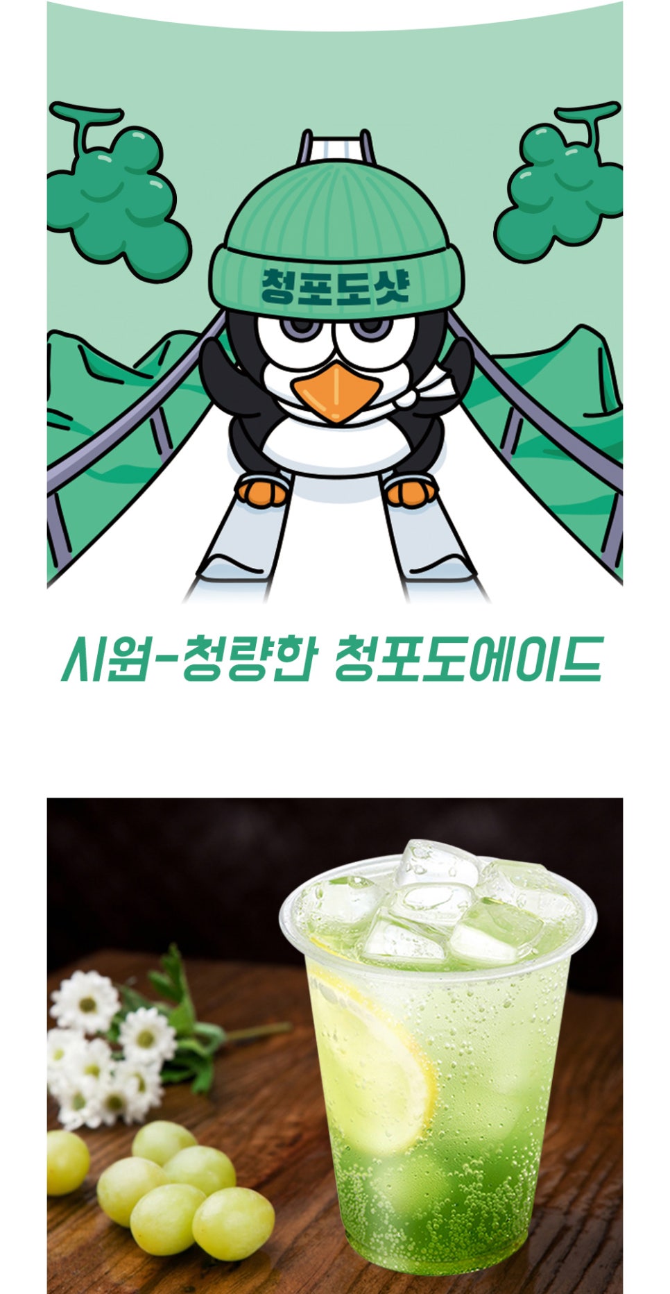 자두샵 이미지