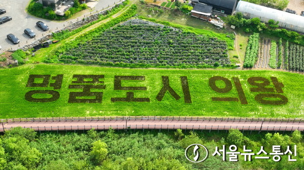 백운통신 이미지