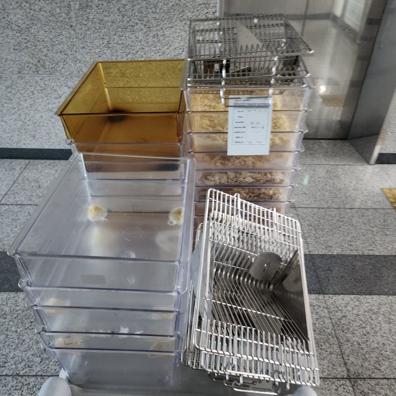 쉼표(숭실대점) 이미지