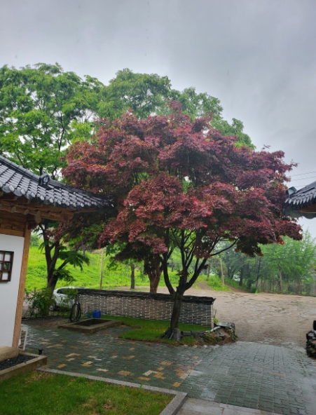청산한옥스테이 이미지