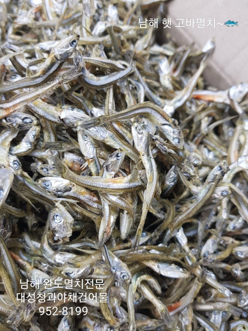 대성청과 이미지